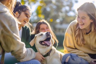 Four people seated on grass outdoors. They are laughing and petting a golden labrador retriever in the centre.