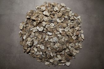 A pile of oyster shells in the centre of a dark grey floor.