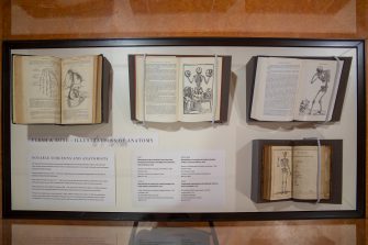 An overview shot of a display case featuring four books propped open to display illustrations of skeletons and hand bones