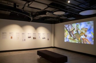 A row of information panels line the left wall with a video depicting plants appears on the right wall. A low bench sits in the centre of the room