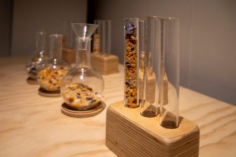 A collection of glass test tubes and beakers contain an assortment of materials ranging from rice and lentils to small sea shells