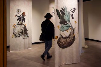 A man wearing a broad brimmed  hat walks through suspended fabric panels bearing anatomic and botanical illustrations
