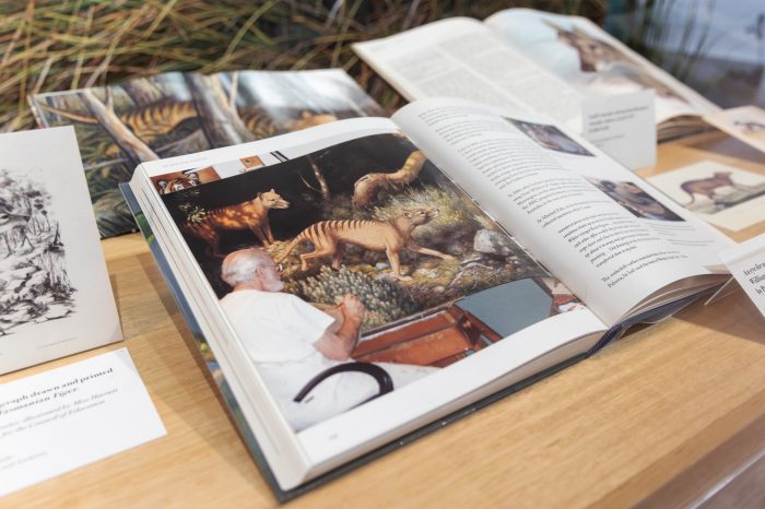 A book open at a page showing an artist working on a large painting of a Tasmanian Tiger.