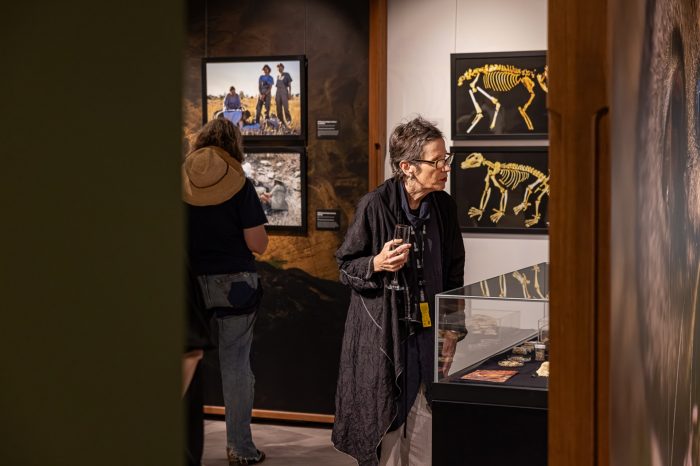 Revealing Riversleigh - opening night Two ladies in a gallery space, looking at photos of fossils and palaeontological fieldwork on the walls.