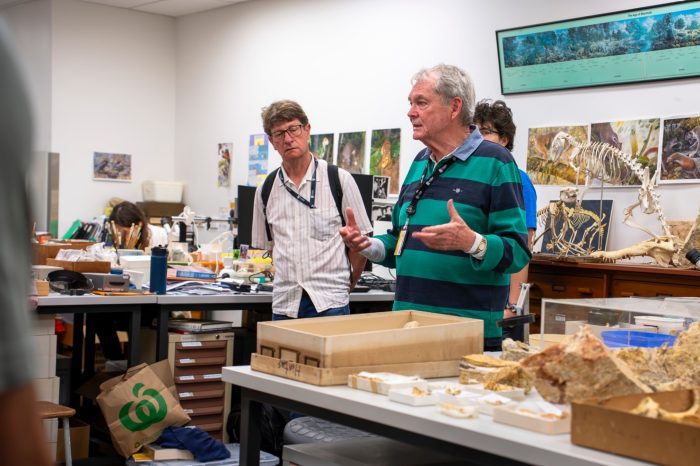 A man in a striped shirt gestures while speaking to a visitor in a paleontology lab. Tables in the foreground and background are covered with fossil specimens, skeletal casts, and research materials.