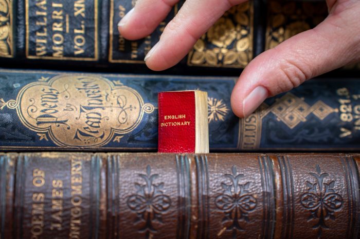 A hand clasps at a tiny red book with the title writtn in gold letters "English Dictionary"