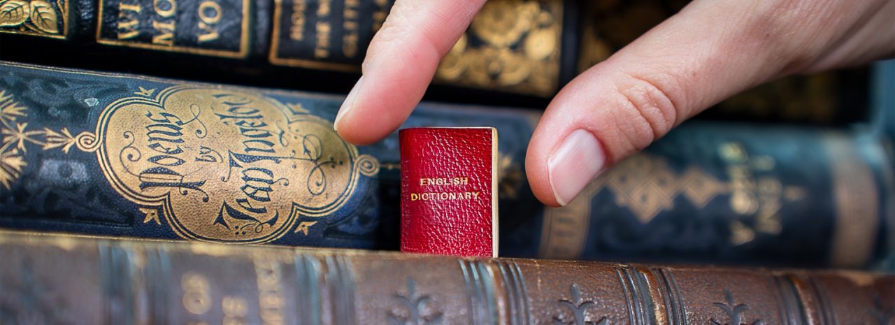 A hand clasps at a tiny red book with the title writtn in gold letters "English Dictionary"