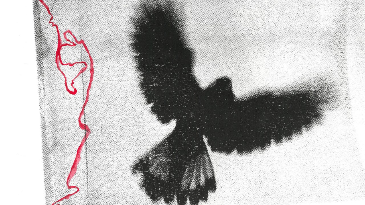 A black and white print of a black cockatoo in mid-flight