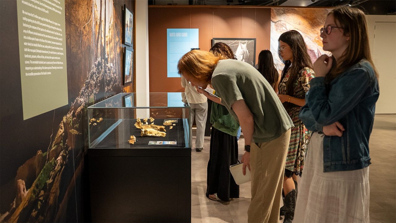 Students stand near a glass display case containing fossils. One student is leaning down to look at an item within.