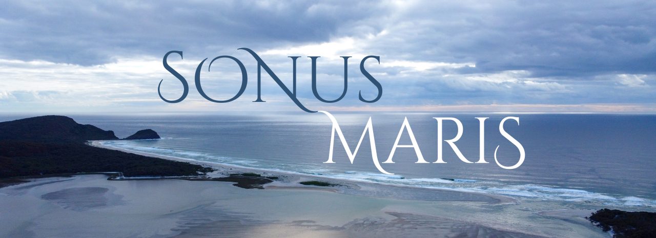 Aerial photo an ocean against a cloudy sky. Title text 'SONUS MARIS' in blue and white font. 